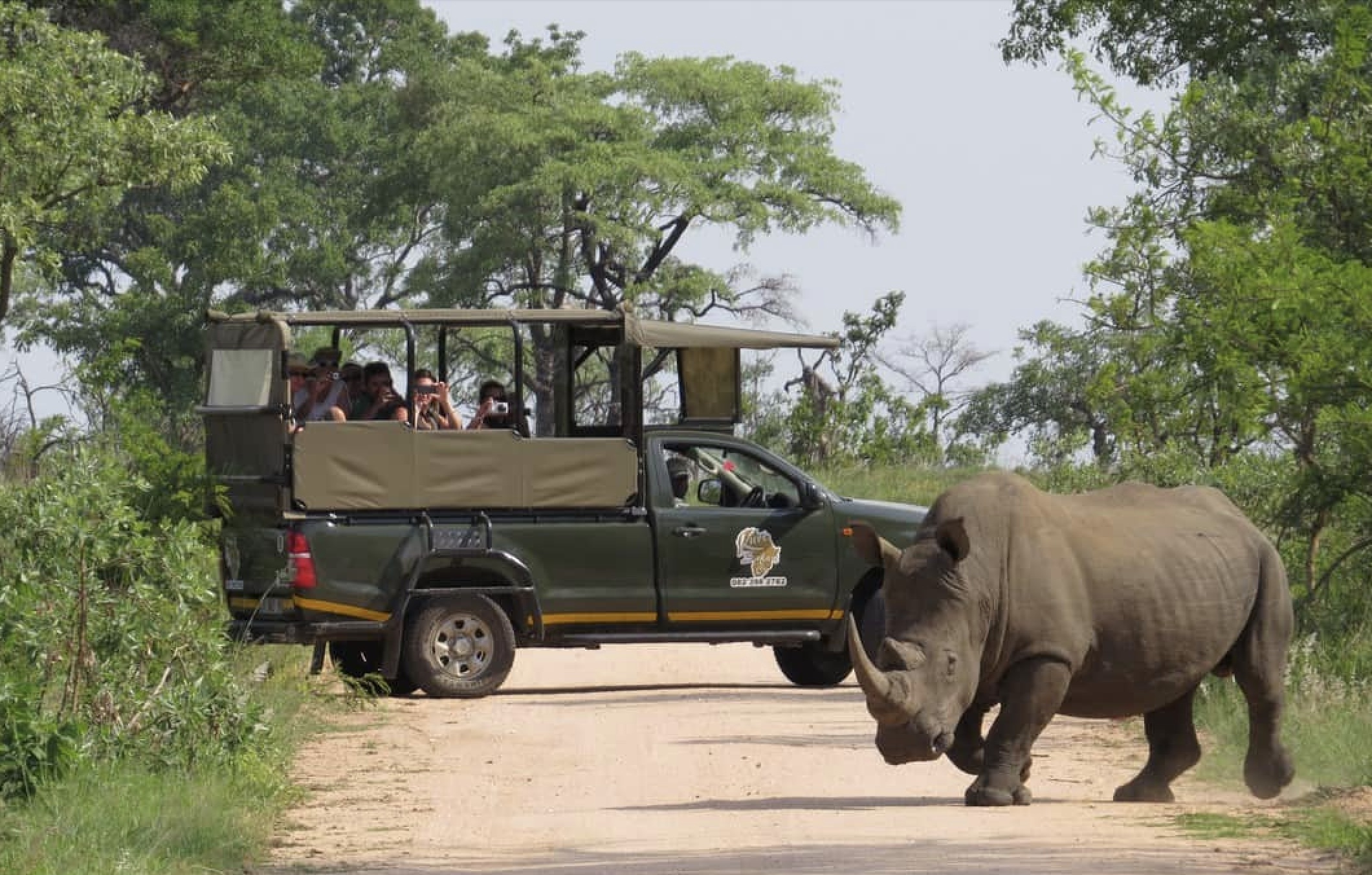 DÉL-AFRIKAI KÖRUTAZÁS FOKVÁROS-SZAFARI-SUN CITY