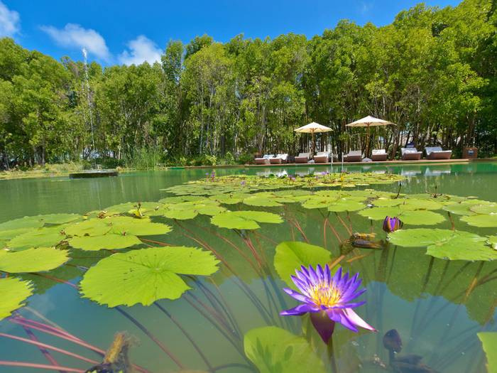 Dreamland The Unique Sea & Lake Resort / Spa