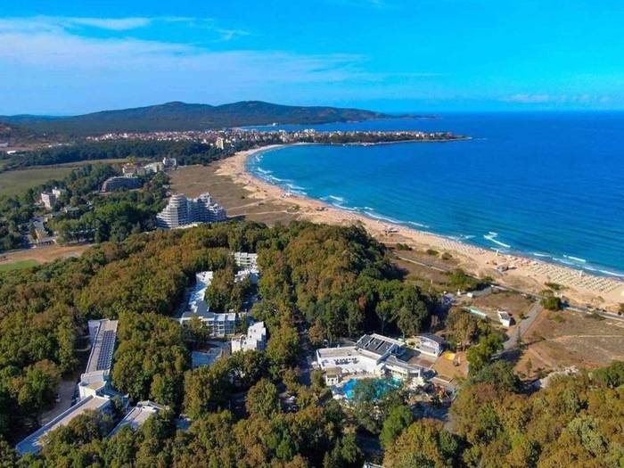 Forest Beach