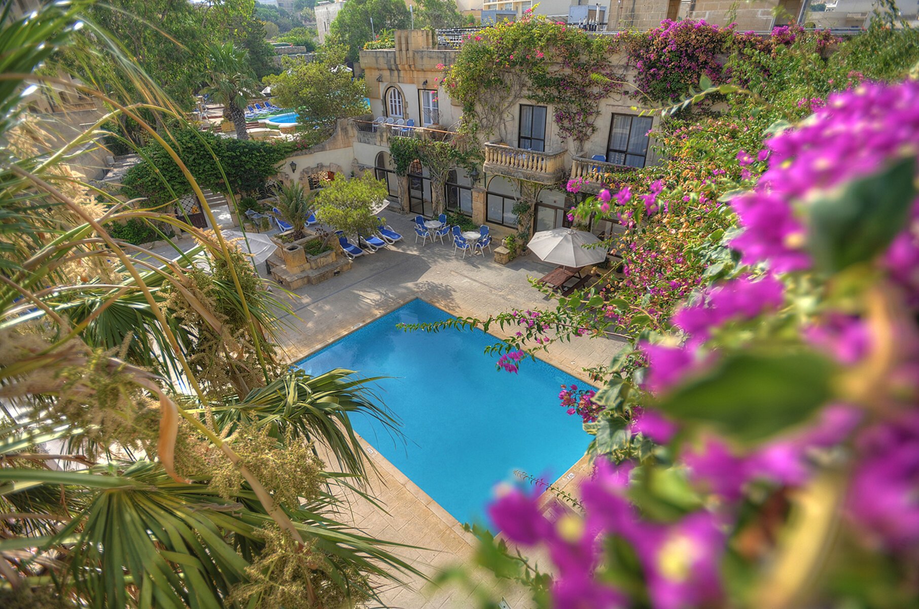 Hotel Cornucopia