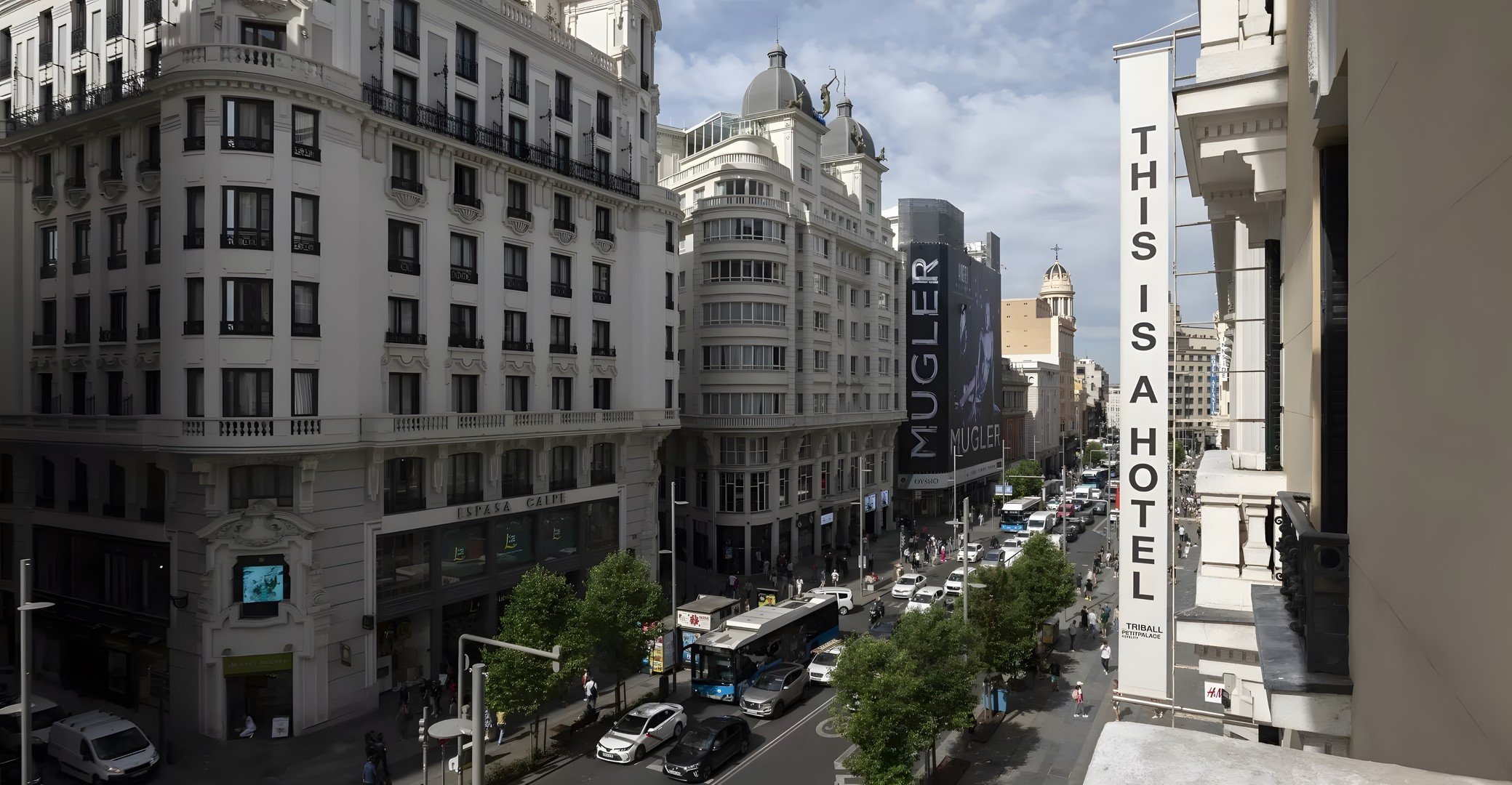 Hotel Petit Palace Triball