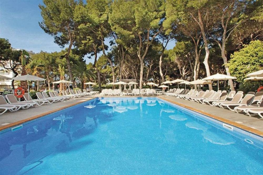 Hotel Riu Festival