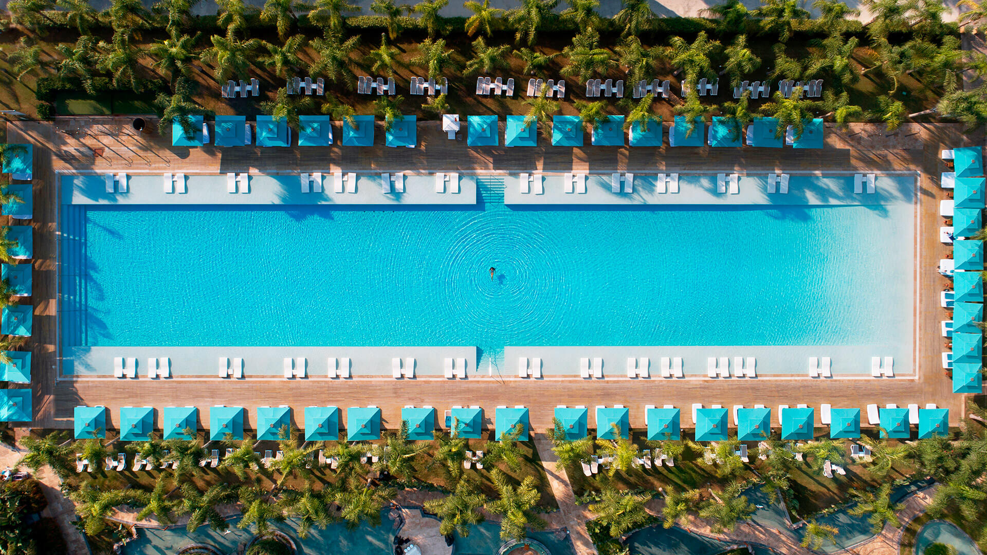 Regnum Carya
